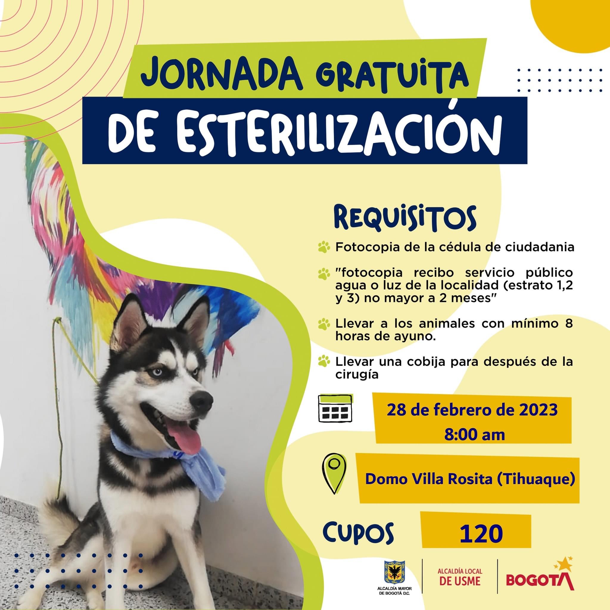 Jornada de esterilización