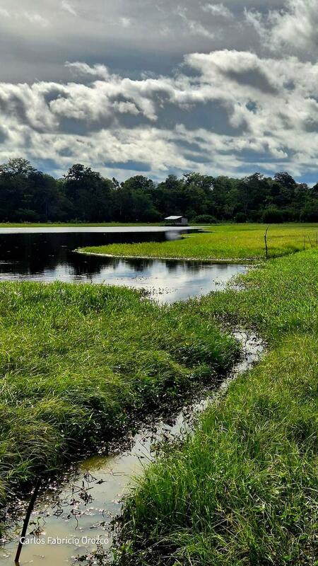 Amazonas - Carlos Fabricio Orozco Córdoba