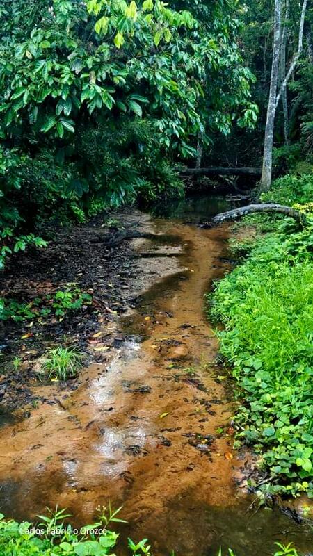 Amazonas Carlos Fabricio Orozco 