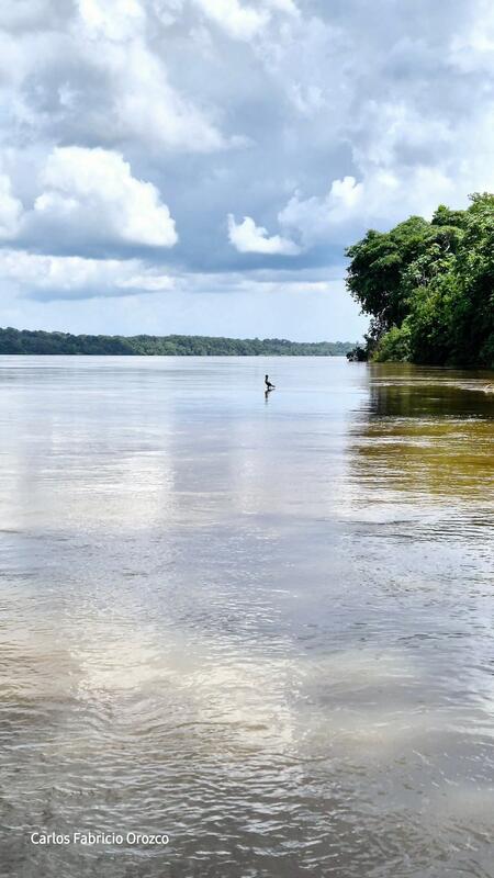 Río Amazonas 