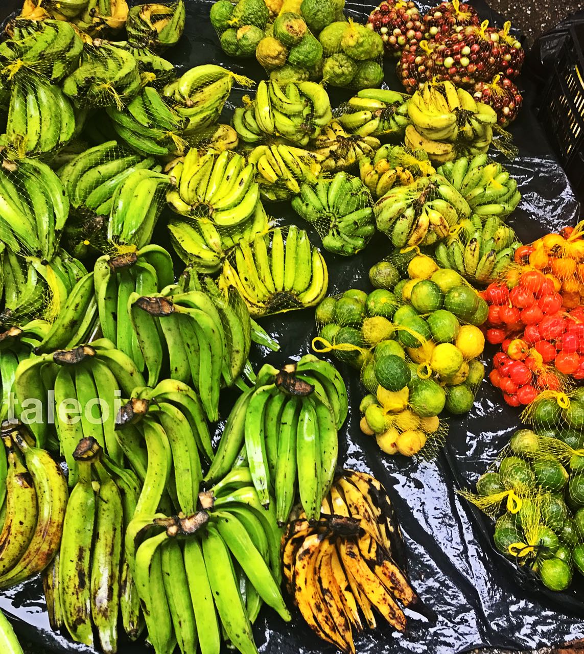 Frutas y frutos en el puerto