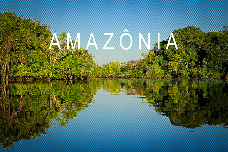 image for Dia da Amazônia