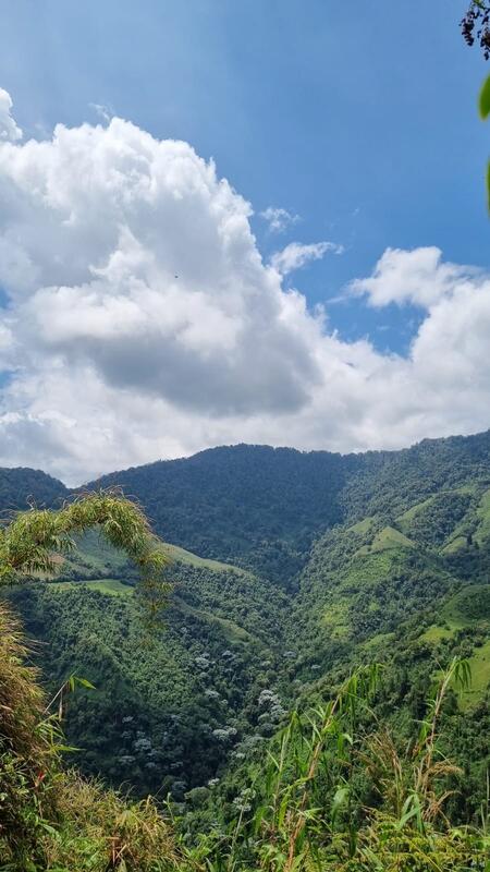 Hotel El Nido Del Cóndor / Viajando por Colombia 