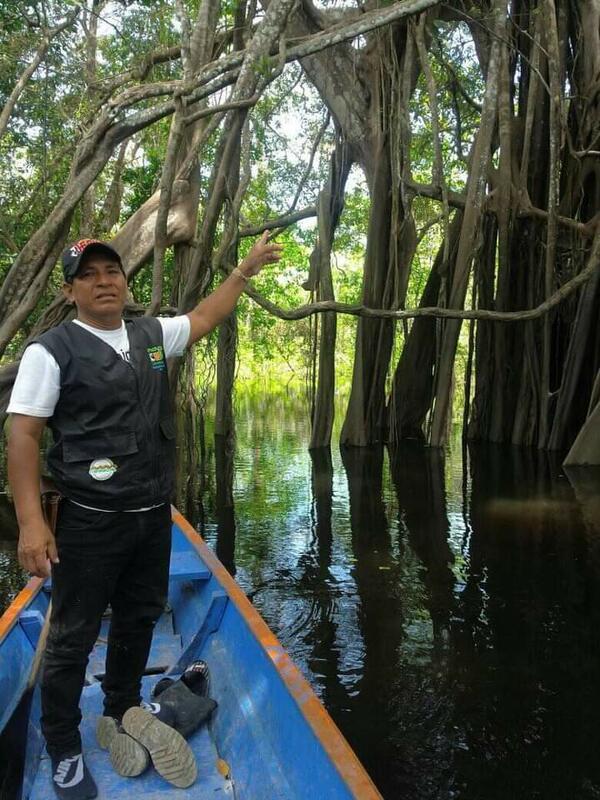 Amazonas