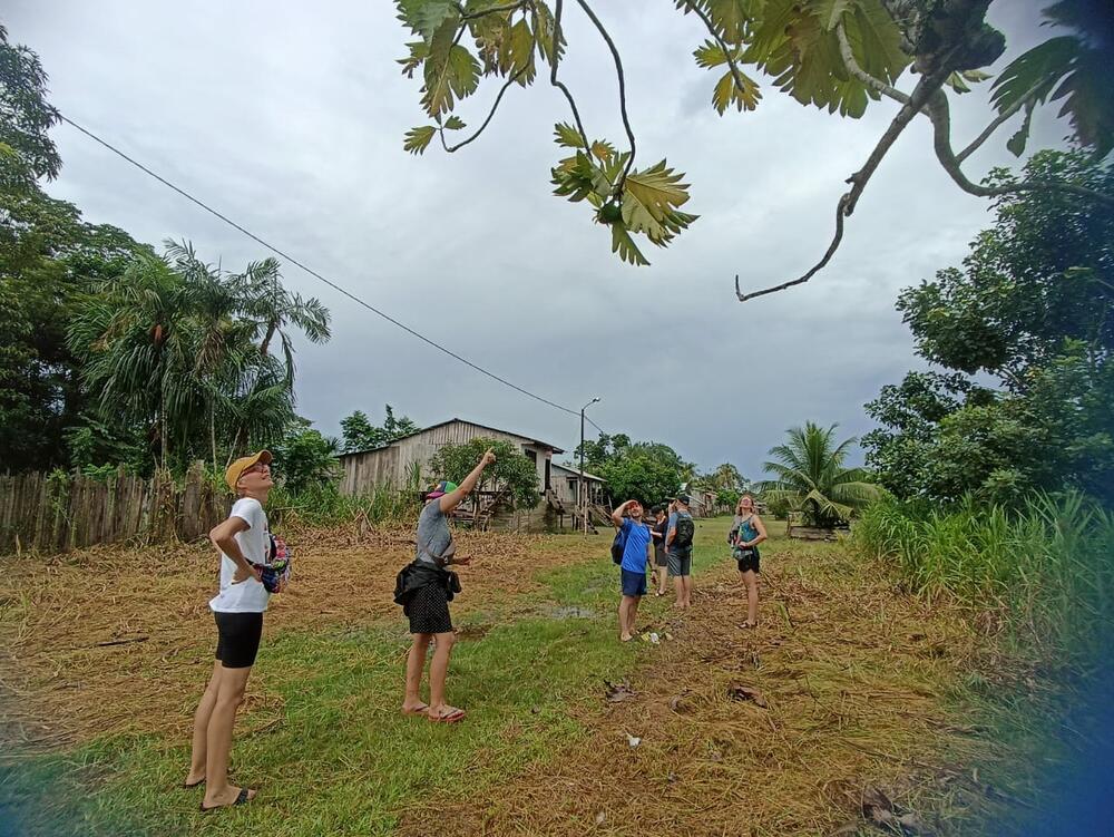 Tiger Island Community Peru