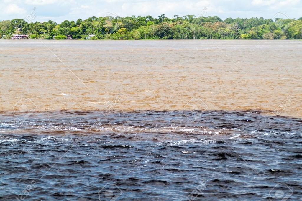 image for Assalto a balsa colombiana no Solimões deixa um baleado