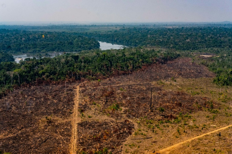 image for Desmatamento na Amazônia em junho é o maior em 5 anos