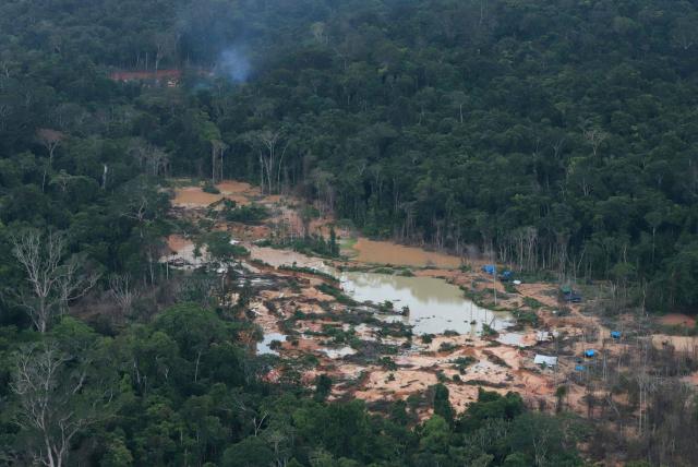 image for Nuevo récord de deforestación en Amazonía brasileña