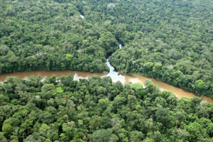 image for Representantes a la Cámara por el Amazonas votaron a favor de explotar petróleo