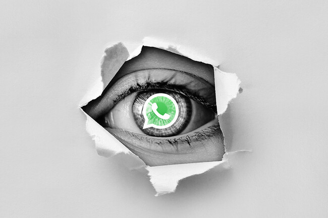 image for Whatsapp acaba la función de espiar si alguien está online