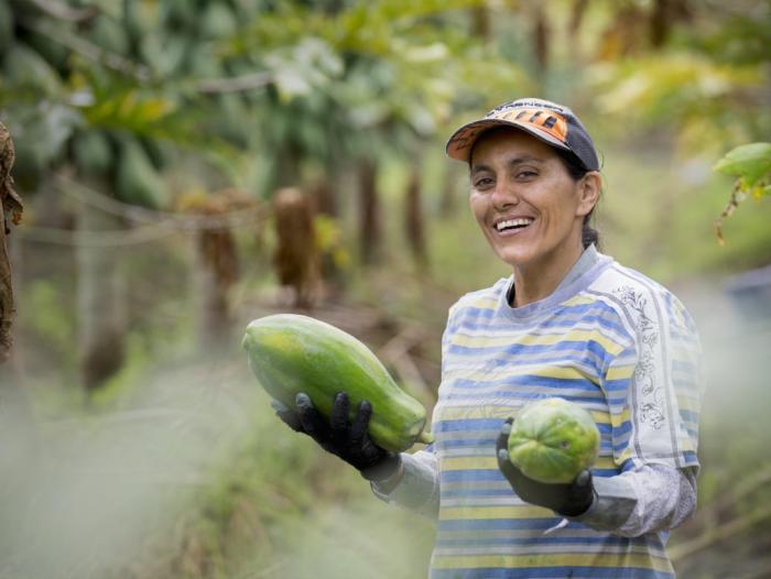 image for Gestión del riesgo y aseguramiento son tema del foro virtual sobre agro