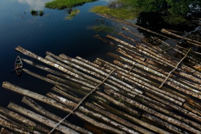 image for Amazonia bajo presión