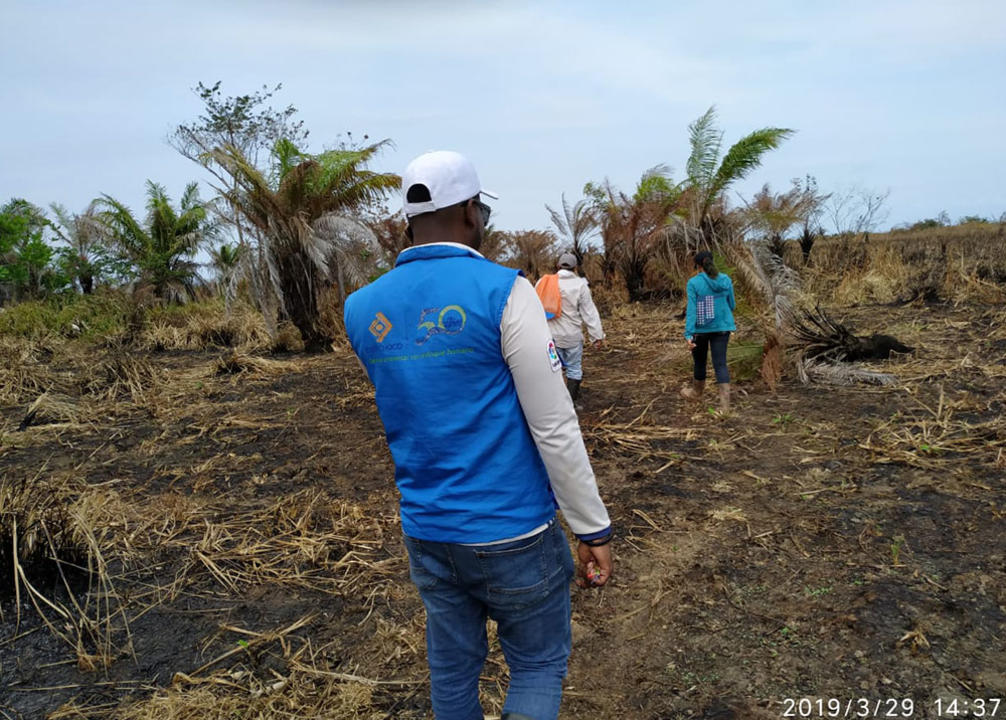 Personas caminando por una zona consumida por un incendio ya controlado