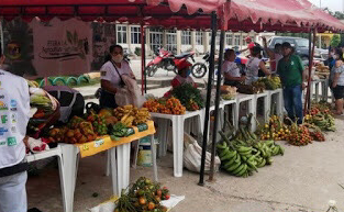 image for Prefeitura  realiza a Feira da Agricultura Familiar