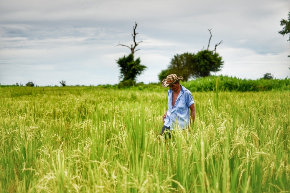 image for Crisis financiera agobia a agricultores y pescadores