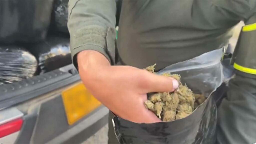 image for Capturaron personas en posesión de marihuana en Medellín