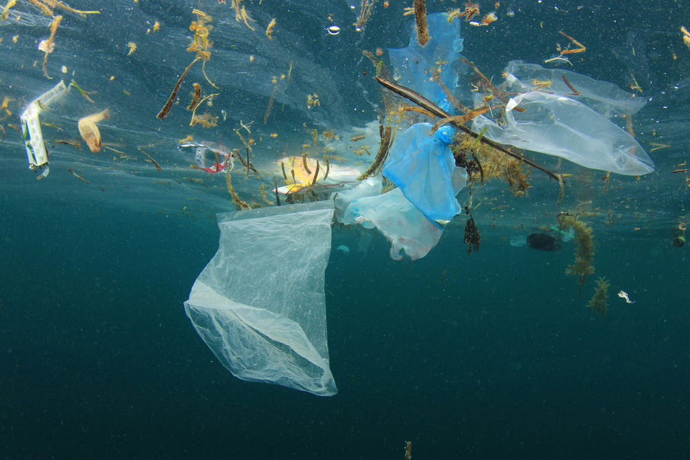 Basura plástica en el océano es mucho peor de lo que se pensaba ...