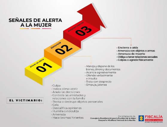 Imagen explicativa de los casos de Feminicidios en el 2019