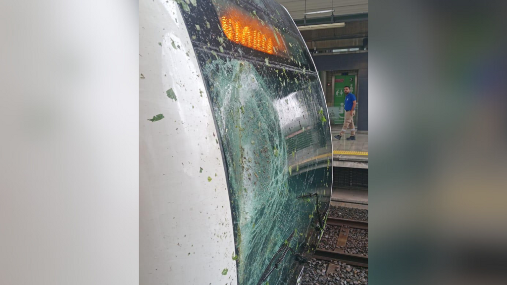 image for Rama de un árbol cayó sobre panorámico de un tren del Metro de Medellín y lo quebró