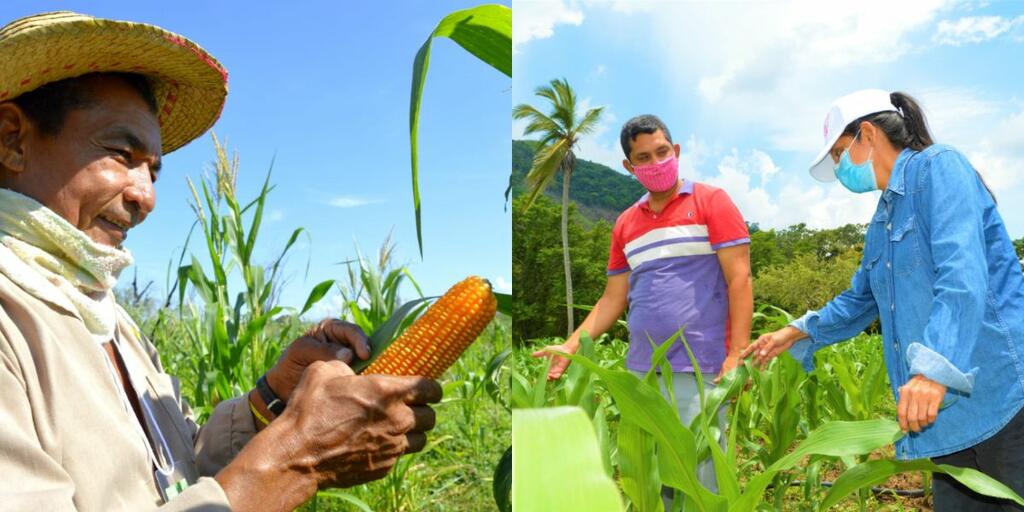 image for Algarrobo inaugura el proyecto Ruta Agroecoturística