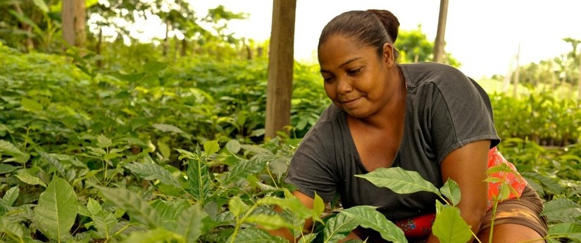 image for Mujer protagonista en la gestión del cambio climático