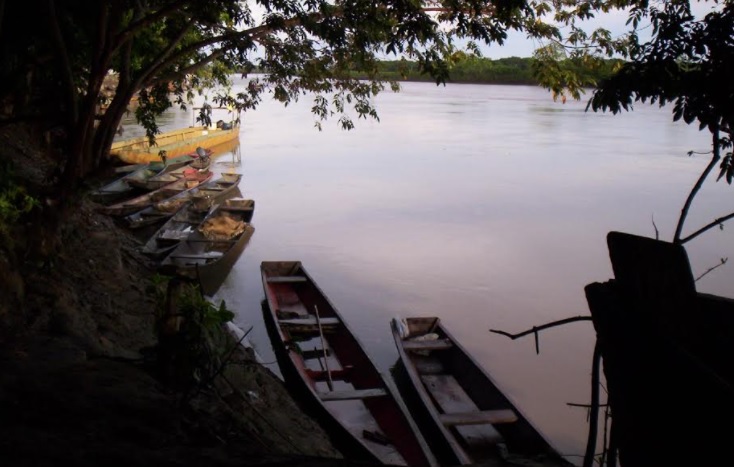 image for Orinoquía colombiana protagonista del congreso de salud pública y bienestar