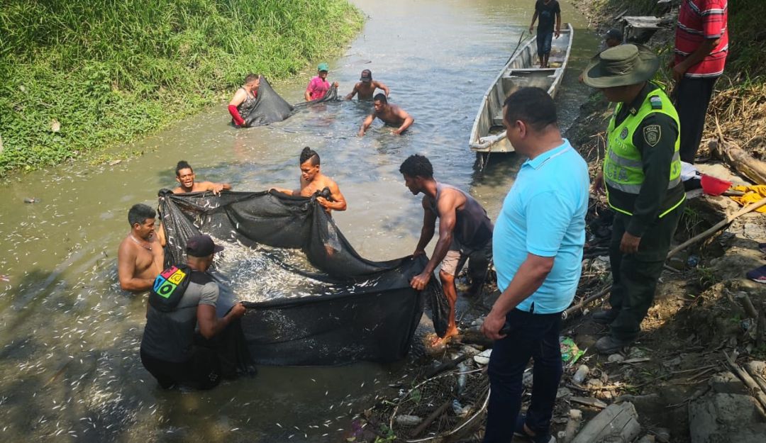 Personas a orillas del rio recogiendo peces