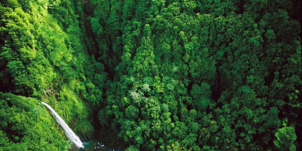 Area verde en Costa Rica