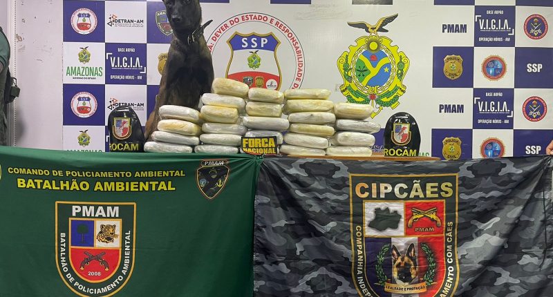 image for Drogas são apreendidas por policiais da Base Arpão