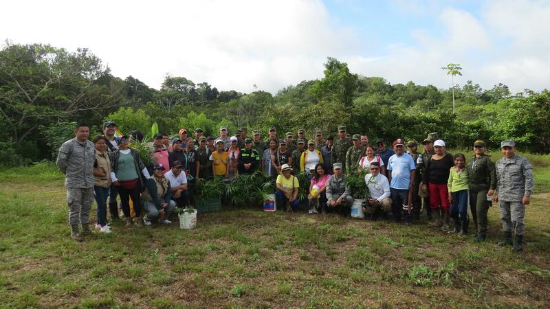 Trabajo interinstitucional permite siembra de 1500 plántulas en el Amazonas