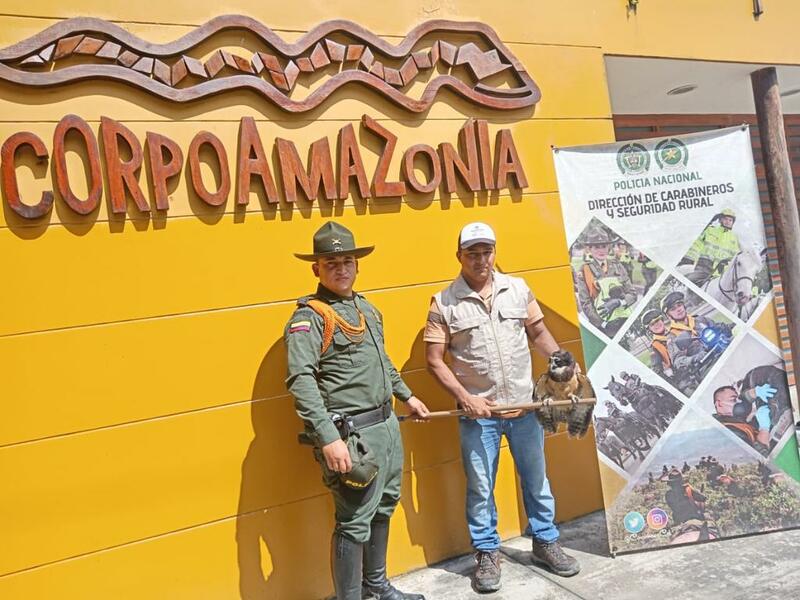 COMO GUARDIANES DE LA SELVA, CARABINEROS CUIDAN LA FLORA Y FAUNA DEL AMAZONAS