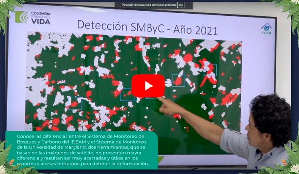 Conoce las diferencias entre el Sistema de Monitoreo de Bosques y Carbono  del IDEAM y el Sistema de Monitoreo de la Universidad de Maryland