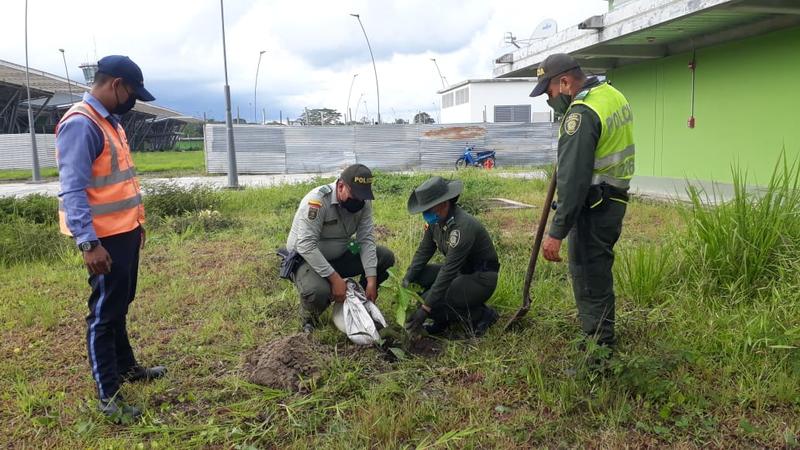 DURANTE LA CRISIS DEL COVID-19 CONMEMORAMOS EL DÍA MUNDIAL DE LA TIERRA, BUSCANDO APROVECHAR EL INCREMENTO Y LA CALIDAD AMBIENTAL 