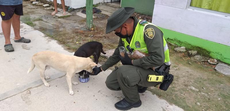 LA POLICIA NACIONAL SE COMPROMETE CON LOS ANIMALES EN CONDICIÓN DE CALLE DURANTE EL AISLAMIENTO OBLIGATORIO 