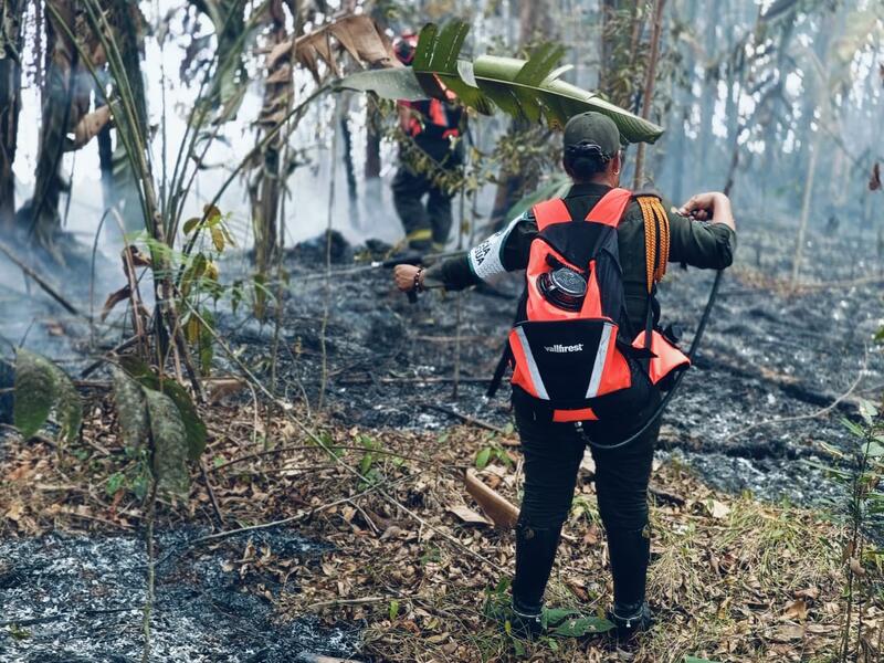 INCENDIOS FORESTALES AFECTAN ZONAS SELVÁTICAS DE LETICIA