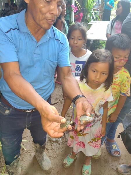 EN SANTA SOFÍA LIBERAN TORTUGAS