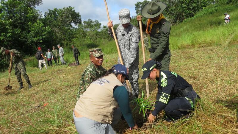 Trabajo interinstitucional permite siembra de 1500 plántulas en el Amazonas