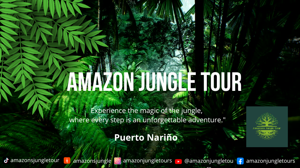 amazon-jungle-tour.png