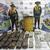 Binomio Canino de la Policía, halló 78 kilogramos de Marihuana en Leticia