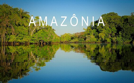 image for Dia da Amazônia