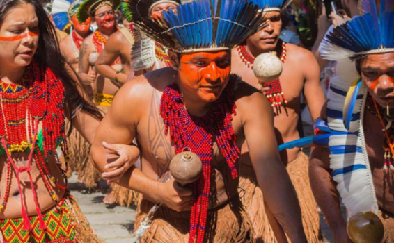 image for Festival del Pirarucú