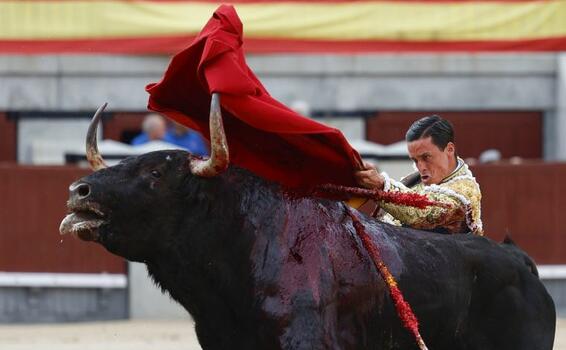 image for Colombia prohíbe las corridas de toros