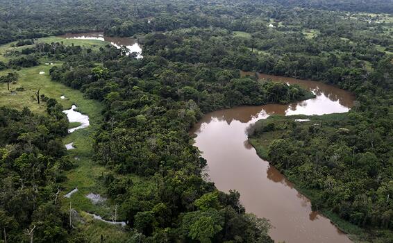 image for FAO en Colombia