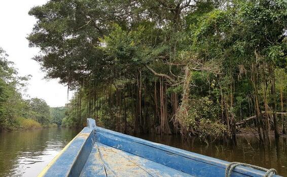 Guardacostas del Amazonas