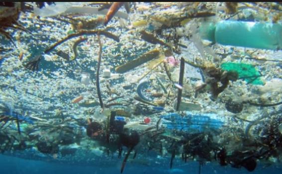 Mar con basura peligrosa para la fauna