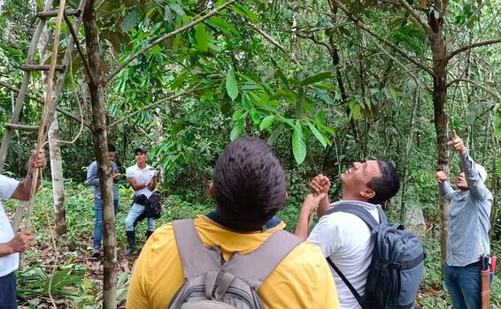 image for Fortalecimientos  de Cadena de Valor para productores de la Amazonia