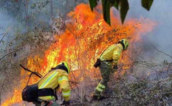 image for Aumentan recursos con nuevo presupuesto para los Bomberos de Antioquia