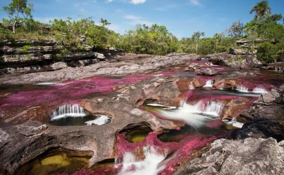 image for Caño Cristales abre temporada de visitantes