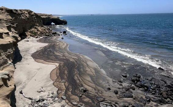 image for Derrame de petróleo en Lobitos y su impacto ambiental