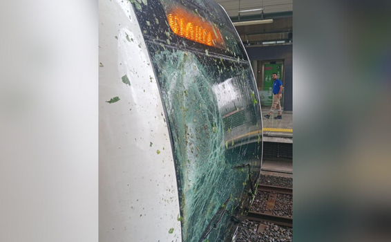 image for Rama de un árbol cayó sobre panorámico de un tren del Metro de Medellín y lo quebró